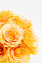 オレンジのバラの花束
