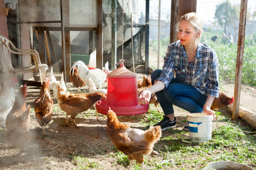 Young woman farmer caring for poultry © JackF