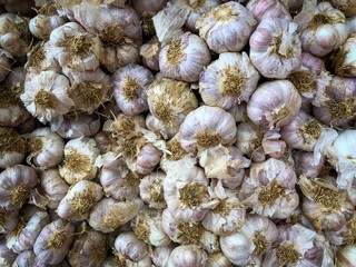 Fresh garlic on market table closeup