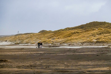 Fototapeta na wymiar Hirtshalls, Denmark A windy beach on a winter day.