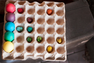 A dyed eggs in a packing for eggs. 
