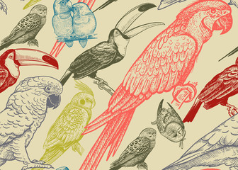 Parrots and toucans. Tropical birds. Seamless vector background. © marinavorona