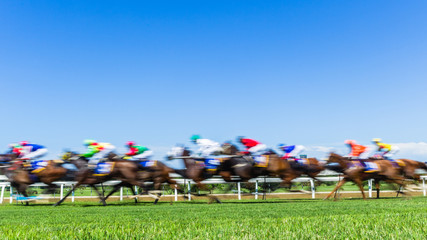 Horse Racing Jockeys Animals Running Grass Track Action Speed Motion Blur Photo. - 255879651