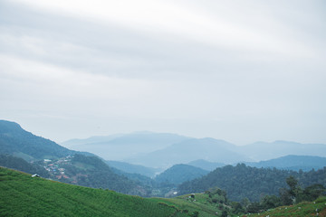 Fototapeta na wymiar mountain,sky, nature, mountains, green,smoke,fog