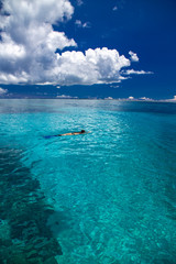 Fototapeta na wymiar 透明度の高いサンゴ礁の海