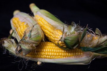 Cobs of ripe corn lie on black background