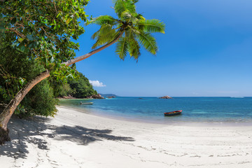 Panoramic view of exotic beach. Coco palm, white sand and turquoise sea.