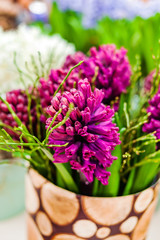 bright hyacinth flowers