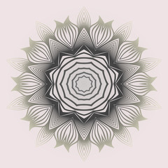 Modern Decorative Cicle Shapes. Floral Mandala. Vector Illustration. White grey color.