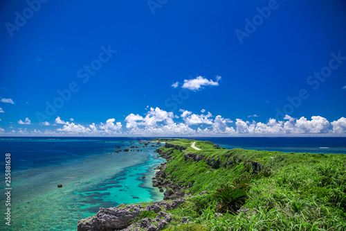宮古島 東平安名崎 Wall Mural Wallpaper Murals Wallsheaven Atsushi