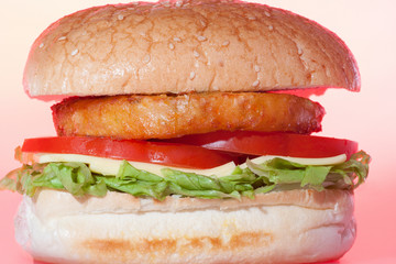 Red tomatoes slides in big bun