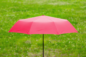 an umbrella on the grass