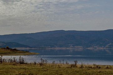 View of Batak dam reservoir with coastal autumn glade, forest, hill at Rhodope mountains and flock birds swimming and flying on the water, Bulgaria 