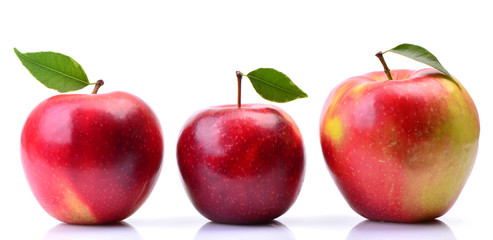 Red apples on white background