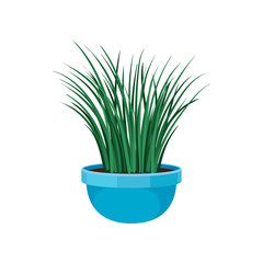 Home plant in blue pot. Vector illustration.
