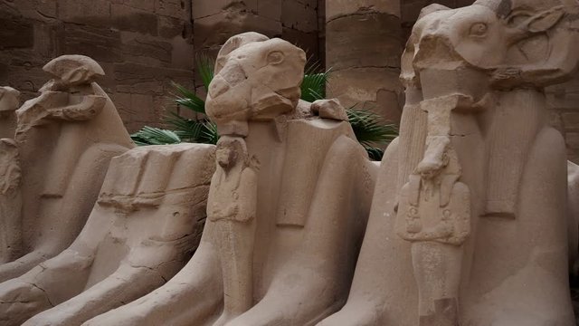 A line of Sphinx statues at the entrance to the Karnak Temple complex in Luxor Egypt