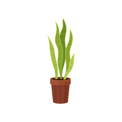 Flora and houseplant concept. Vector flat illustration.