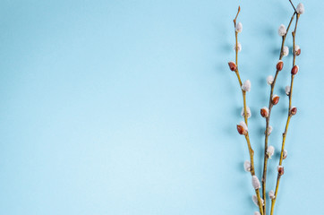 willow earrings close up