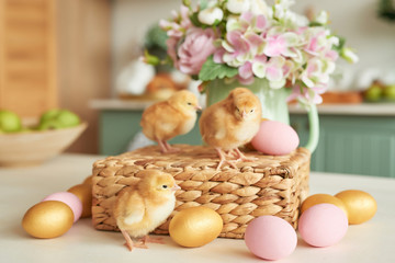 Easter eggs and chickens with flowers. Easter Greeting Card Template. Happy easter concept. Copy Spase. Calendar template