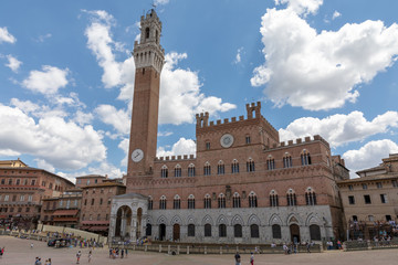 Fototapeta na wymiar Panoramic view of Palazzo Pubblico and Torre del Mangia