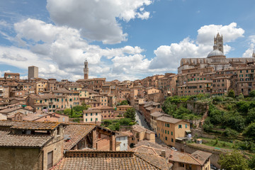 Panoramic view of Siena city with historic buildings and street