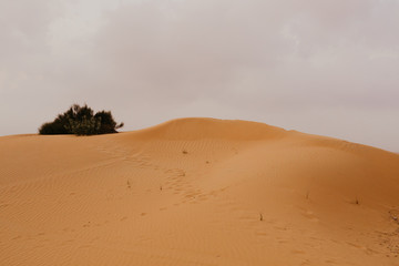 Fototapeta na wymiar beautiful Arabian desert landscape