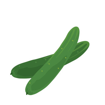 きゅうり イラスト Stock ベクター Adobe Stock