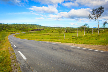 Fototapeta na wymiar Road landscape in norwegian hill mountains