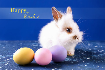 Cute fluffy rabbit with Easter eggs on color background