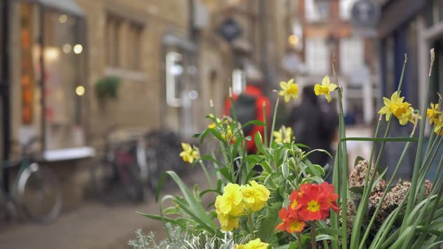 People walk along the charming old street in the center of Cambridge in the background of a flower bed with flowers and boutiques.