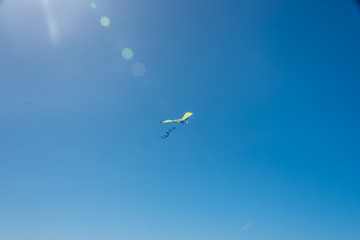 Kite Flying in a Clear Blue Sunny Sky