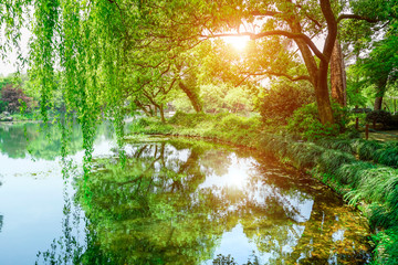 The Beautiful Shan'shui of West Lake in Hangzhou