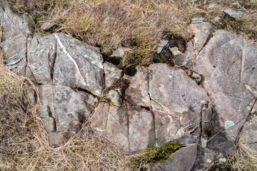 Dry grass and rock in spring