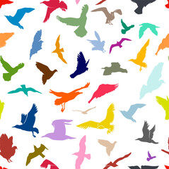 Seamless Flying Birds Colors Silhouettes. Animals Detailed Pattern Colorful. Freehand Drawing. Vector. Illustration. Isolated On White Background.
