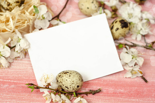 Easter background. Spring flowers and eggs on wooden backround. Space for text