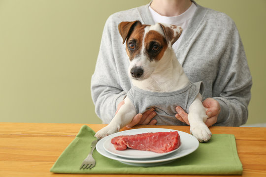 Can Dogs Eat Ham? Risks, Alternatives, and Safe Feeding Tips Discover if dogs can safely consume ham in our informative article. Learn about the risks, alternatives, and safe feeding tips for your furry friend. Can Dogs Have Ham?