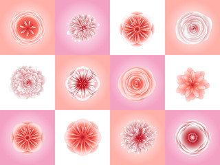 Abstract floral ornament in pink coral colors