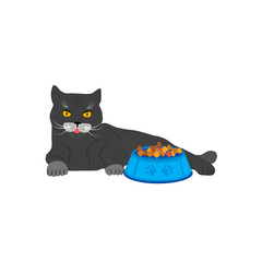 Cute cat near the bowl with cat feed. Vector illustration isolated on white background.