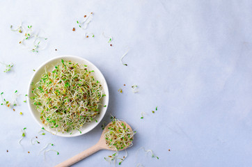 Fresh Green Organic Alfalfa Sprouts on Bright Background