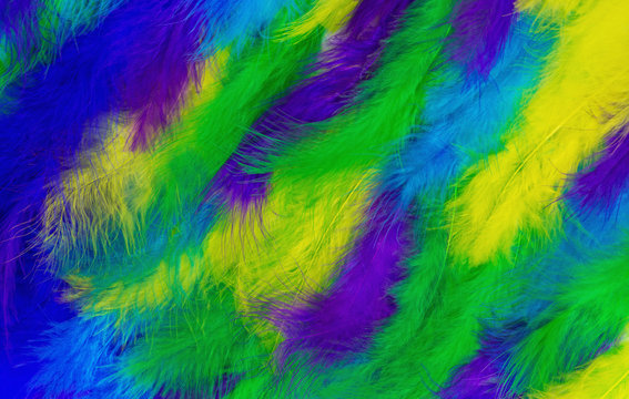 Close up photo of colorful pale of fluffy feathers. Exotic background. Vibrant dyed plumage.