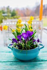 Decoration with spring flowers on a garden table.