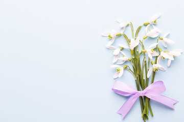 Fresh snowdrops on blue background with place for text. Spring greeting card. Mother day. Flat lay.