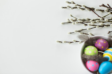 holidays and object concept - colored easter eggs with quail feathers in bowl and pussy willow branches on white background