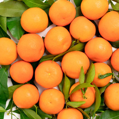 Mandarins with green leaves