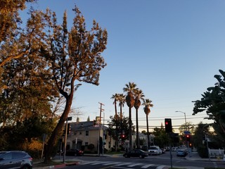 Fototapeta na wymiar LA Street - Los Feliz