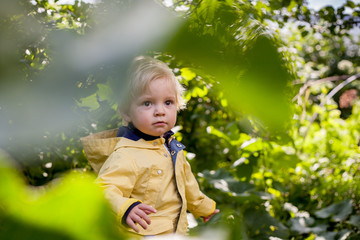 blond boy in yellow jacket sneaks through green leaves on a Sunny day