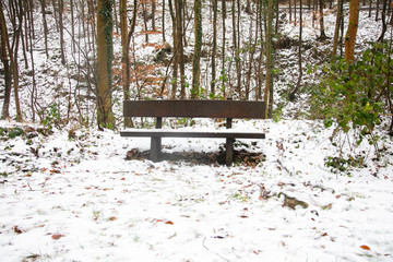 bench in the park covered with snow