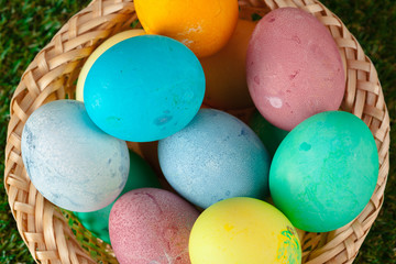 Easter eggs on green grass