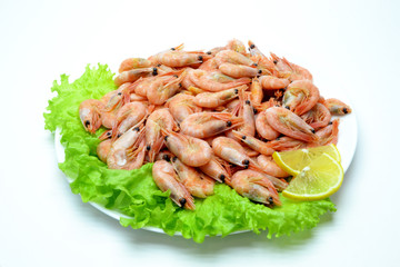shrimp on a plate salad