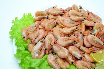 shrimp on a plate salad